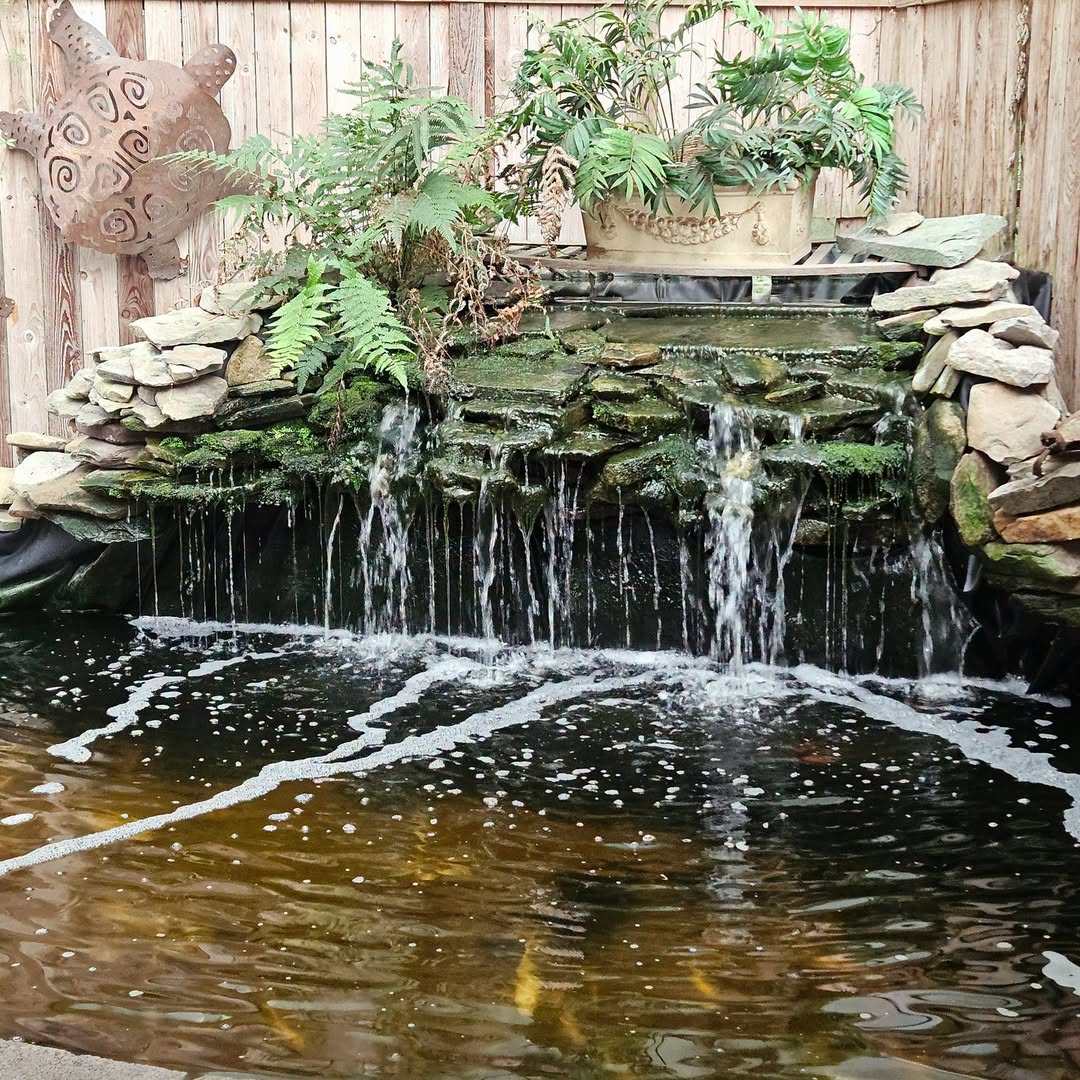 The waterfall garden at Baker's BBQ
